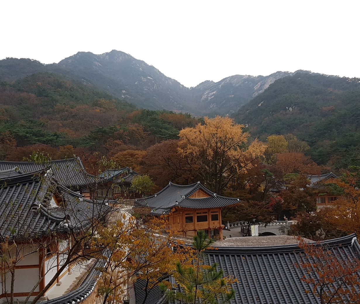 진관사