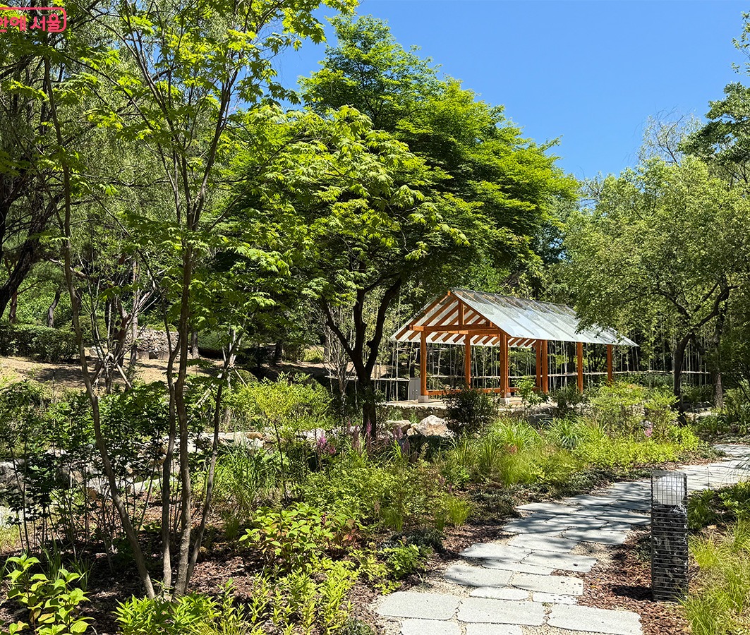 남산한국숲정원