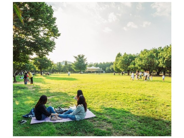 Seoul Forest
